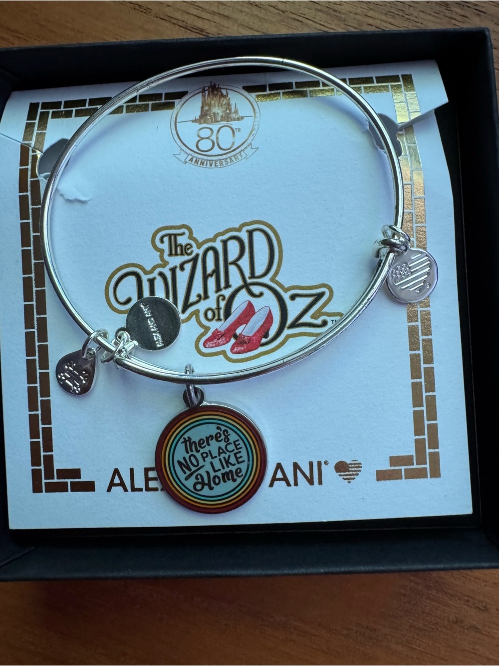 Alex and Ani wizard of oz no place like home rainbow 🌈 charm bracelet